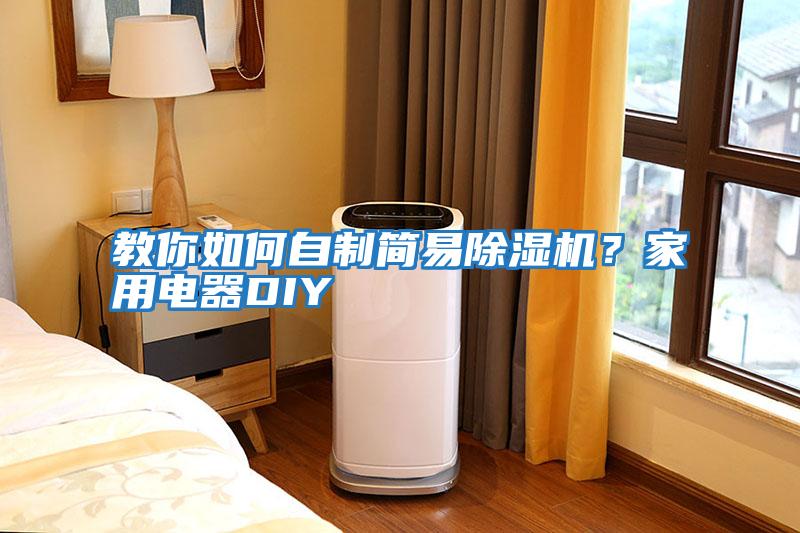 教你如何自制簡易除濕機？家用電器DIY