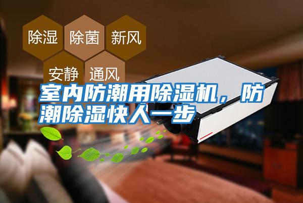室內(nèi)防潮用除濕機，防潮除濕快人一步