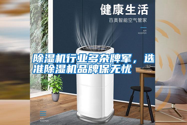 除濕機(jī)行業(yè)多雜牌軍，選準(zhǔn)除濕機(jī)品牌保無(wú)憂(yōu)