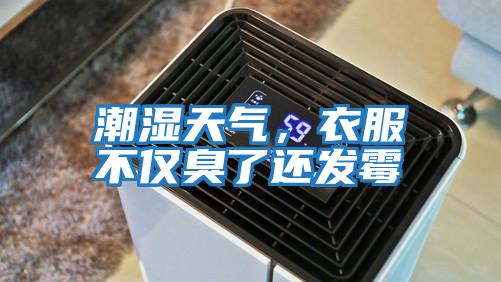 潮濕天氣，衣服不僅臭了還發霉