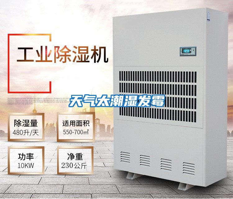 天氣太潮濕發霉