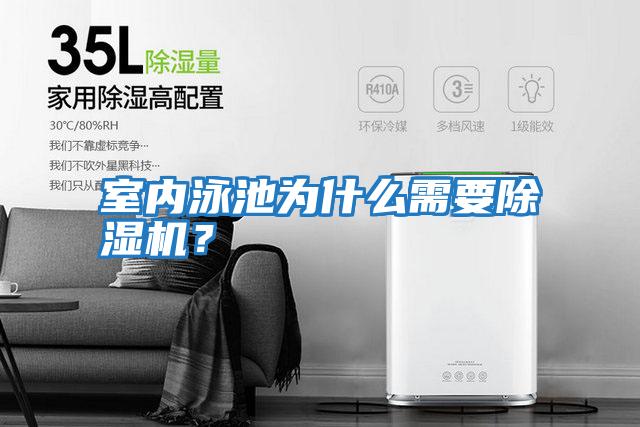 室內(nèi)泳池為什么需要除濕機？