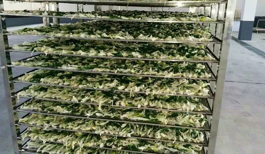 菜干需求一直都很大，蔬菜烘干機很有市場