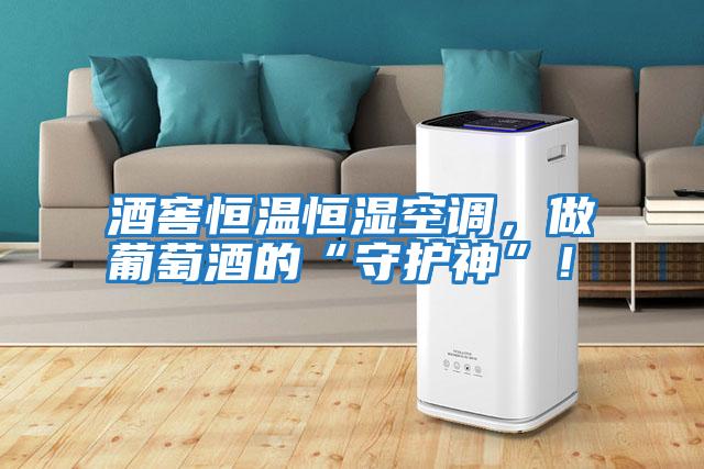 酒窖恒溫恒濕空調，做葡萄酒的“守護神”！