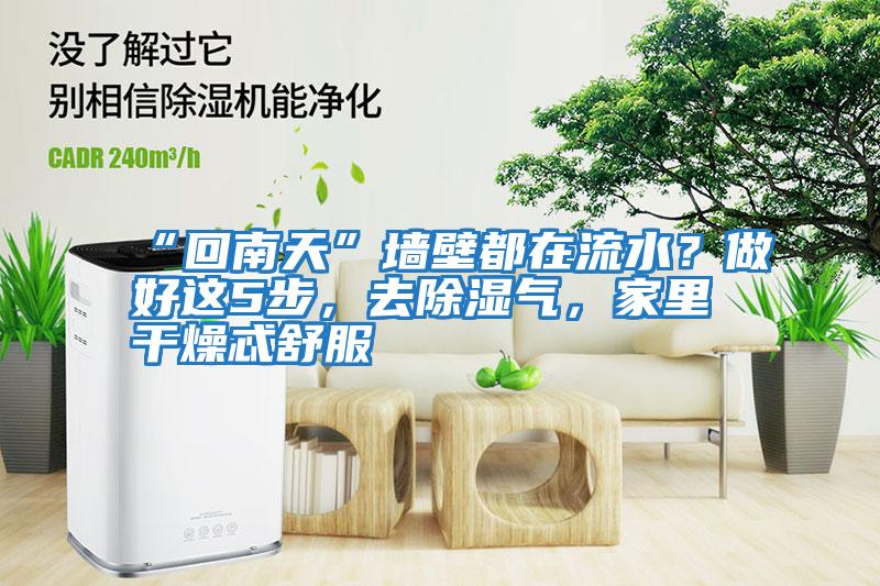 “回南天”墻壁都在流水？做好這5步，去除濕氣，家里干燥忒舒服