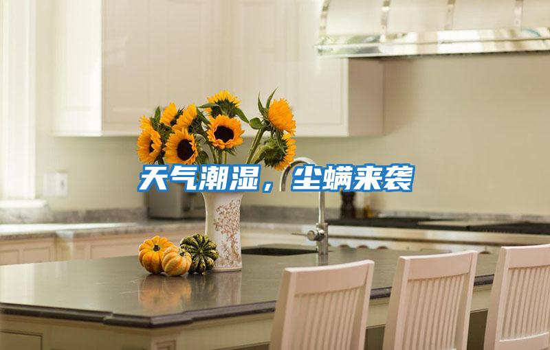 天氣潮濕，塵螨來襲