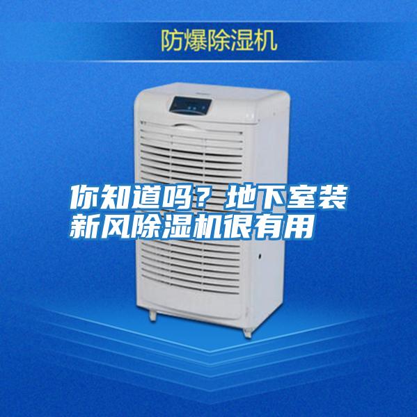 你知道嗎？地下室裝新風(fēng)除濕機很有用