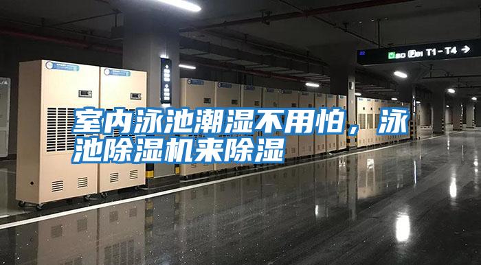 室內泳池潮濕不用怕，泳池除濕機來除濕