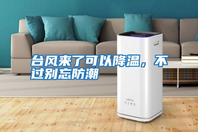 臺風來了可以降溫，不過別忘防潮