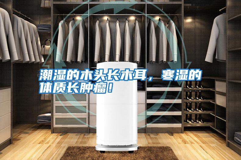 潮濕的木頭長(zhǎng)木耳，寒濕的體質(zhì)長(zhǎng)腫瘤！