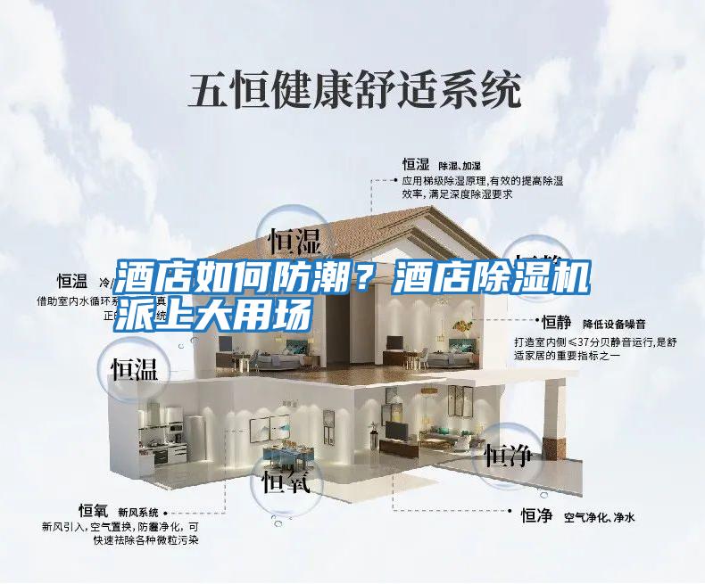 酒店如何防潮?酒店除濕機派上大用場
