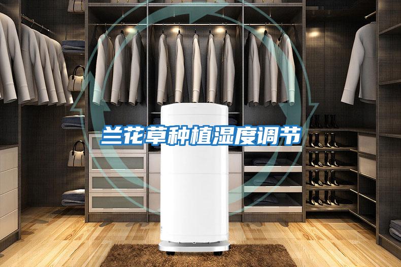蘭花草種植濕度調節(jié)