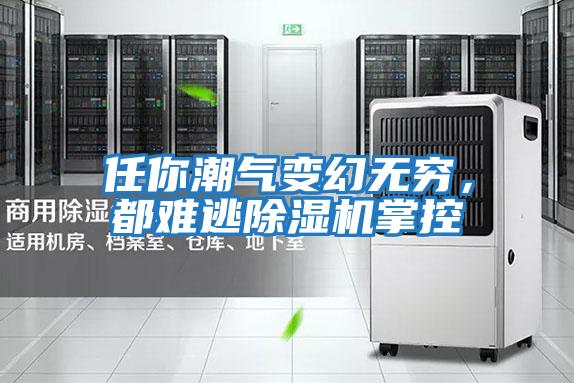 任你潮氣變幻無窮，都難逃除濕機(jī)掌控