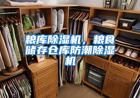 糧庫除濕機，糧食儲存倉庫防潮除濕機