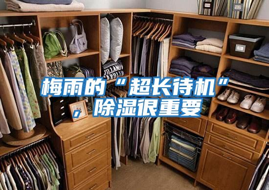梅雨的“超長待機”，除濕很重要