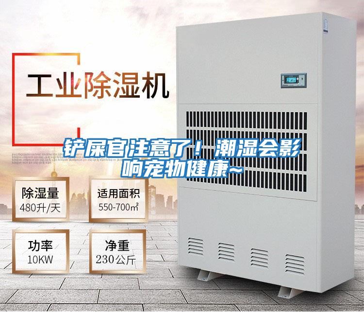 鏟屎官注意了！潮濕會影響寵物健康~