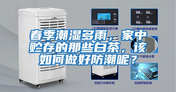 春季潮濕多雨，家中貯存的那些白茶，該如何做好防潮呢？