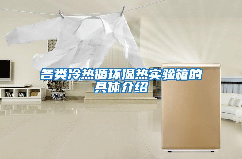 各類冷熱循環濕熱實驗箱的具體介紹