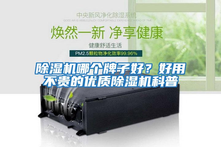 除濕機哪個牌子好？好用不貴的優質除濕機科普