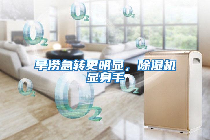 旱澇急轉(zhuǎn)更明顯，除濕機顯身手