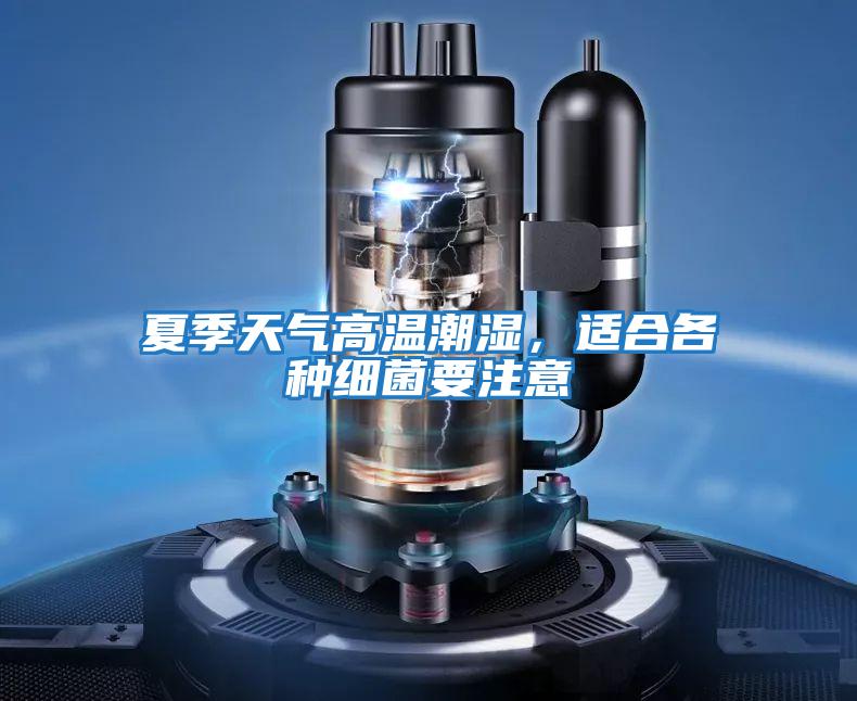 夏季天氣高溫潮濕，適合各種細菌要注意