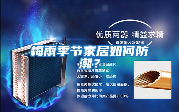 梅雨季節(jié)家居如何防潮?