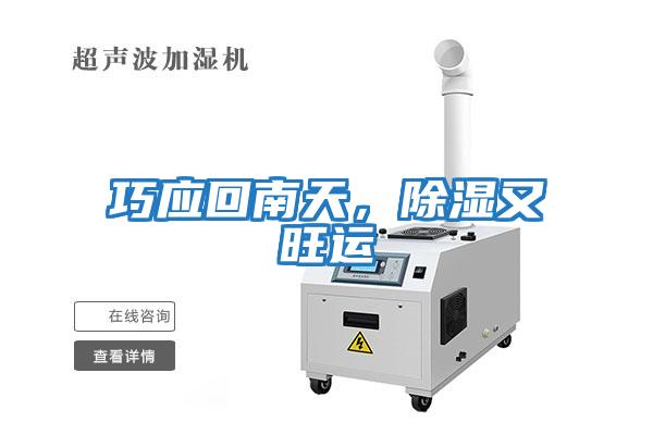 巧應回南天,除濕又旺運