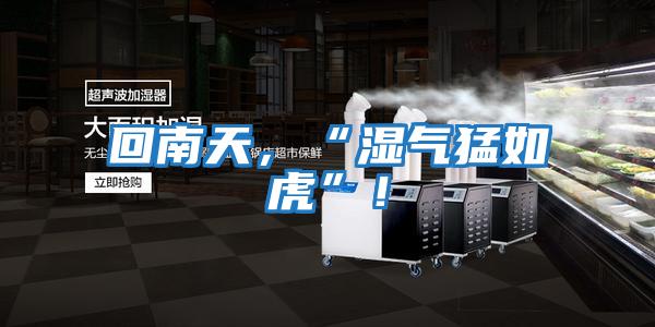 回南天，“濕氣猛如虎”！