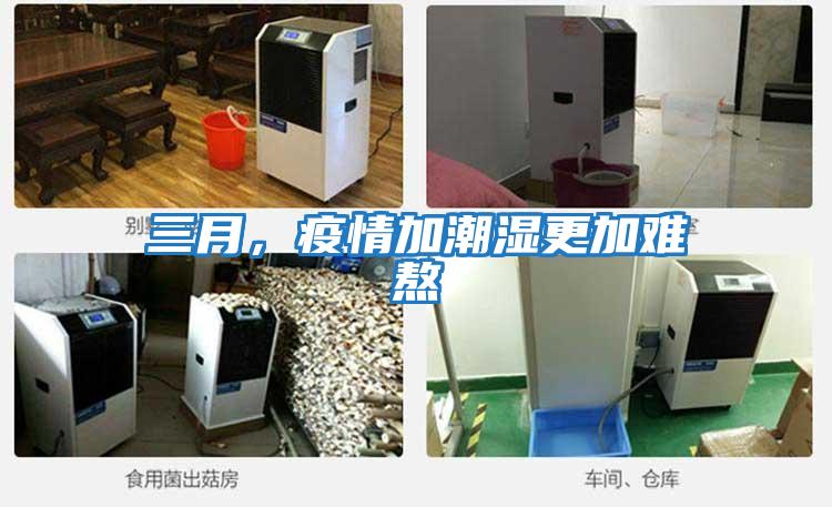 三月,疫情加潮濕更加難熬