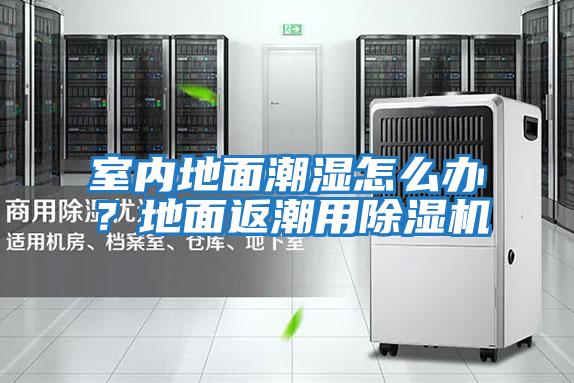 室內(nèi)地面潮濕怎么辦?地面返潮用除濕機(jī)