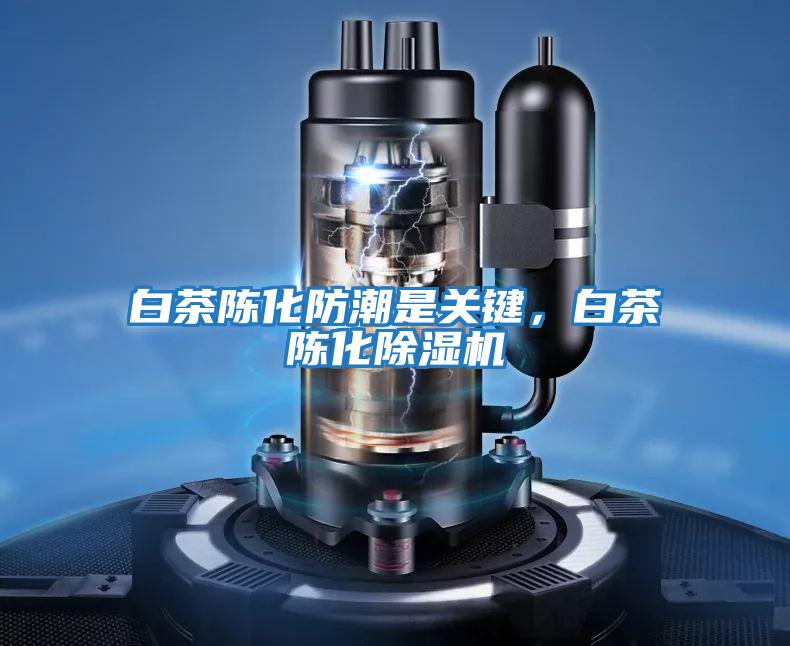 白茶陳化防潮是關鍵,白茶陳化除濕機