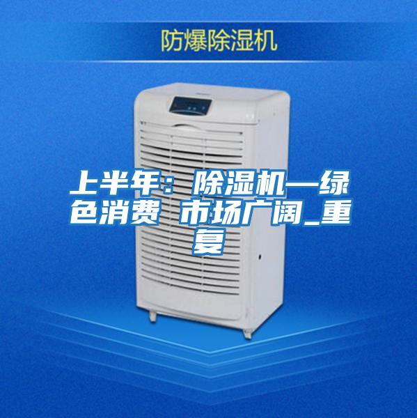 上半年:除濕機(jī)—綠色消費(fèi) 市場(chǎng)廣闊_重復(fù)