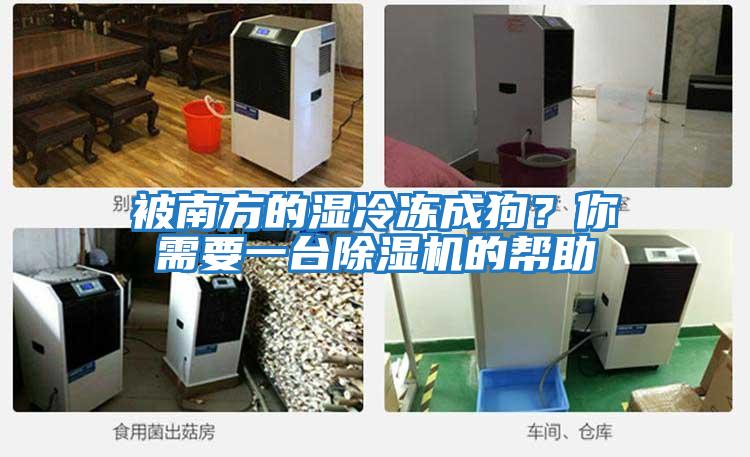 被南方的濕冷凍成狗？你需要一臺除濕機的幫助
