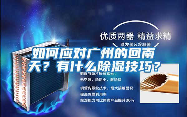 如何應對廣州的回南天？有什么除濕技巧？