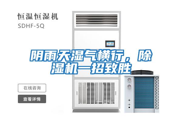 陰雨天濕氣橫行，除濕機(jī)一招致勝