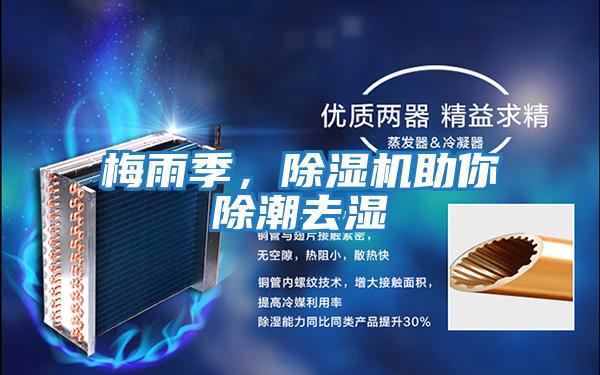 梅雨季，除濕機助你除潮去濕