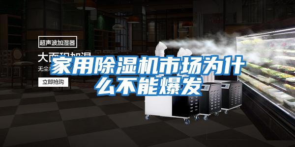 家用除濕機市場為什么不能爆發