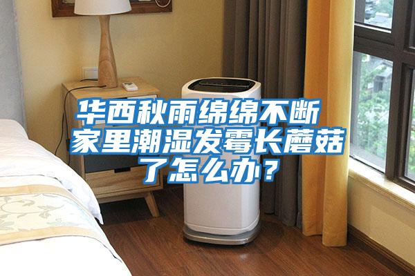 華西秋雨綿綿不斷 家里潮濕發霉長蘑菇了怎么辦？