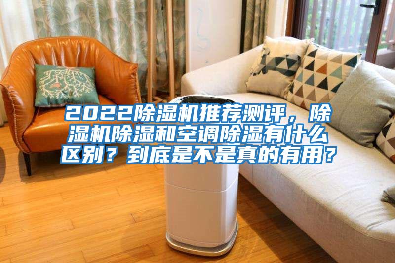 2022除濕機推薦測評，除濕機除濕和空調除濕有什么區別？到底是不是真的有用？