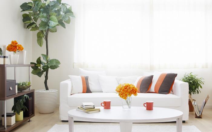 高溫說來就來，這個膏方再不準備就晚了，健胃驅寒，暖宮除濕