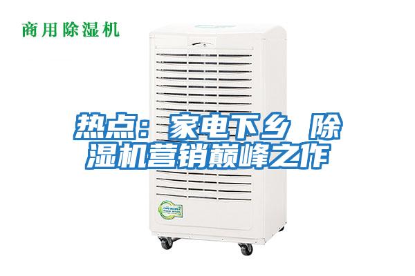 熱點：家電下鄉(xiāng) 除濕機營銷巔峰之作