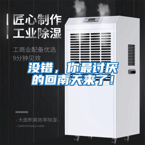 沒錯(cuò)，你最討厭的回南天來了！