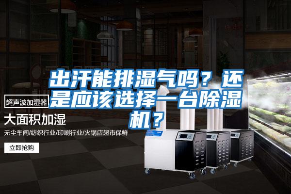 出汗能排濕氣嗎？還是應該選擇一臺除濕機？