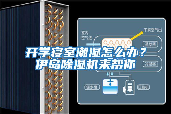 開(kāi)學(xué)寢室潮濕怎么辦？伊島除濕機(jī)來(lái)幫你
