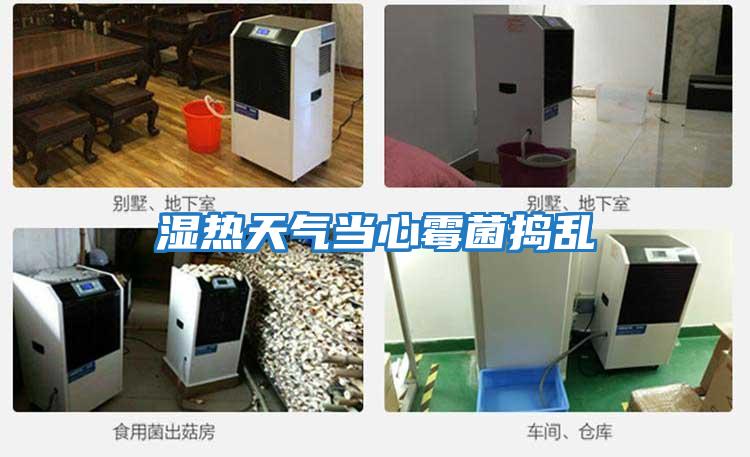 濕熱天氣當心霉菌搗亂