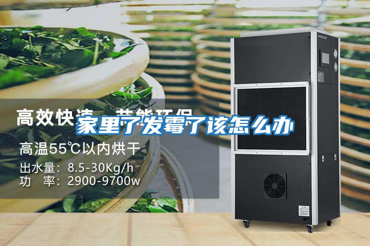 家里了發霉了該怎么辦