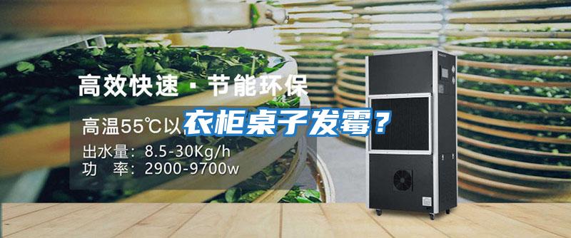 衣柜桌子發(fā)霉?