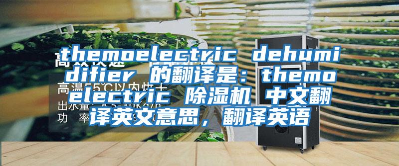 themoelectric dehumidifier 的翻譯是:themoelectric 除濕機 中文翻譯英文意思,翻譯英語