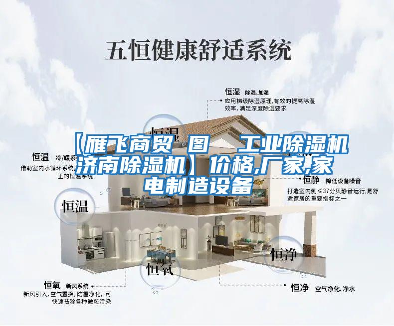 【雁飛商貿(mào) 圖  工業(yè)除濕機 濟南除濕機】價格,廠家,家電制造設(shè)備