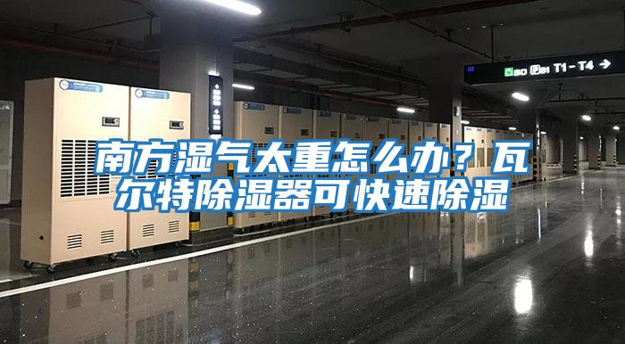 南方濕氣太重怎么辦?瓦爾特除濕器可快速除濕